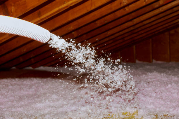 Best Cellulose Insulation in Berkeley, IL
