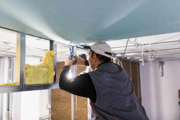 Best Insulation Maintenance and Repair in Berkeley, IL
