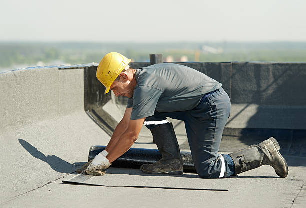 Best Residential Insulation in Berkeley, IL