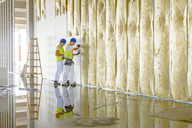 Best Commercial Insulation in Berkeley, IL